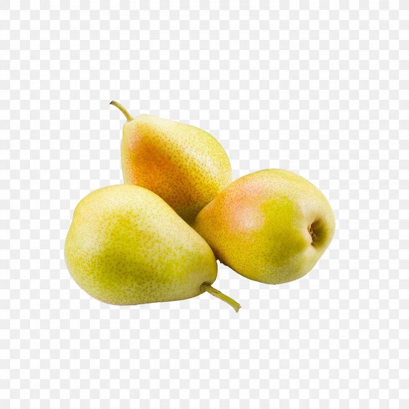 Pyrus Nivalis European Pear Pyrus Xd7 Bretschneideri Auglis Fruit, PNG, 2953x2953px, Pyrus Nivalis, Apple, Auglis, Eating, European Pear Download Free