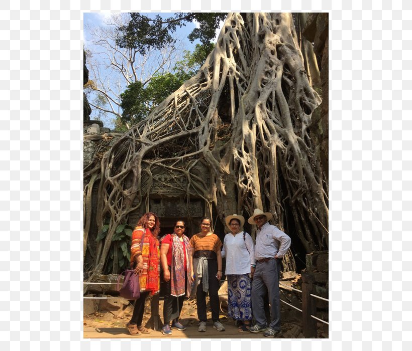 Ta Prohm Angkor World Heritage Site UNESCO Cultural Heritage, PNG, 650x700px, Ta Prohm, Angkor, Archaeology, Art, Art Museum Download Free