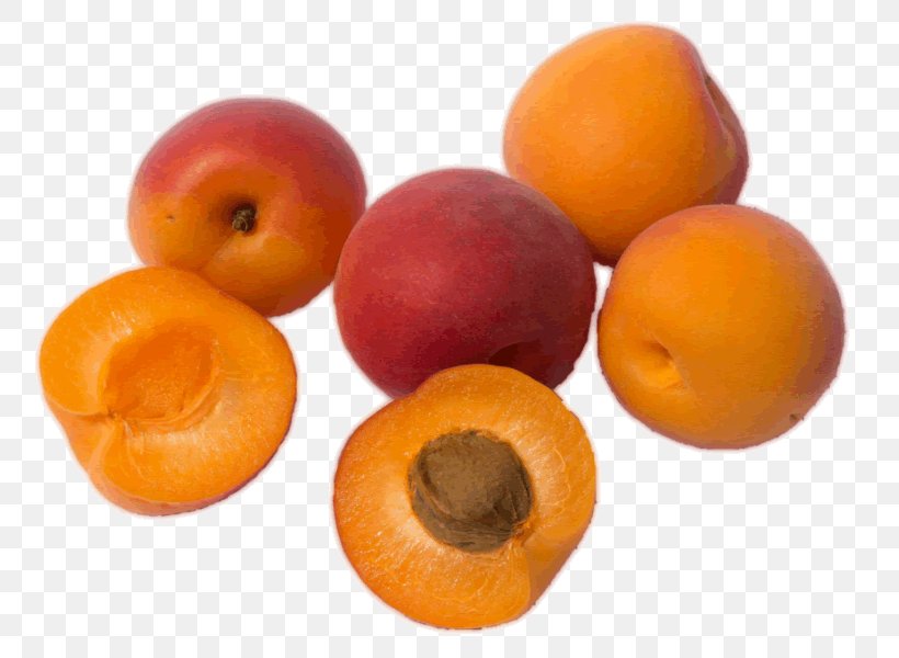 Apricot Kernel Apricot Oil Amygdalin Fruit, PNG, 800x600px, Apricot, Amygdalin, Amygdaloideae, Apricot Kernel, Apricot Oil Download Free