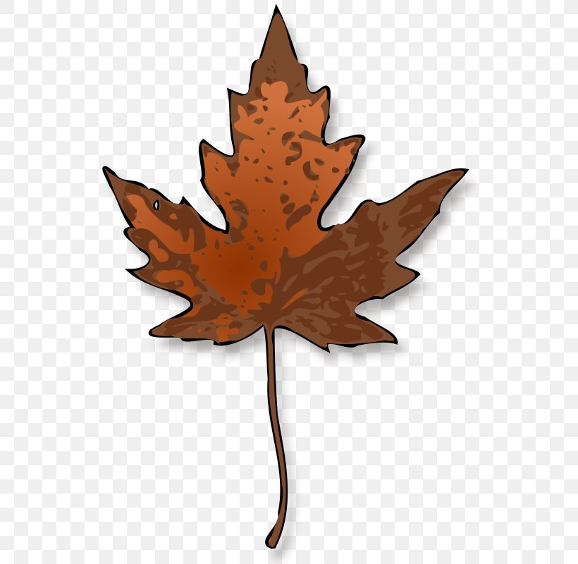 Autumn Leaf Color Maple Leaf Clip Art, PNG, 542x800px, Leaf, Autumn, Autumn Leaf Color, Branch, Bud Download Free