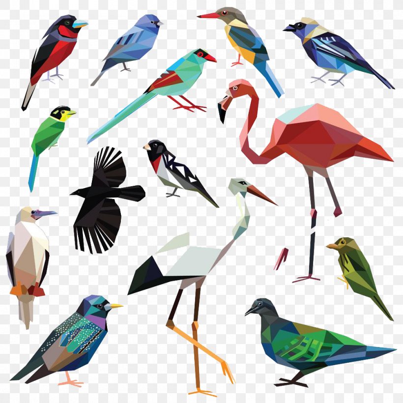 Bird Photography Royalty-free Illustration, PNG, 1000x1000px, Bird, Beak, Ciconiiformes, Drawing, Fauna Download Free
