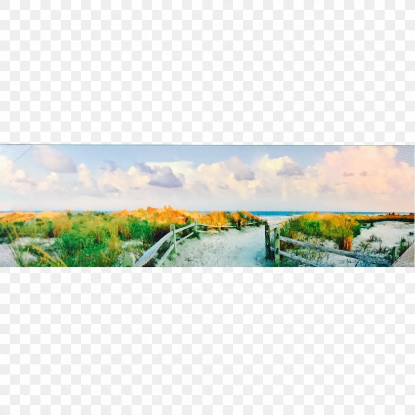 Island Art Panoramic Photography Panorama Work Of Art, PNG, 1000x1000px, Island Art, Art, Bed, Couch, Ecoregion Download Free