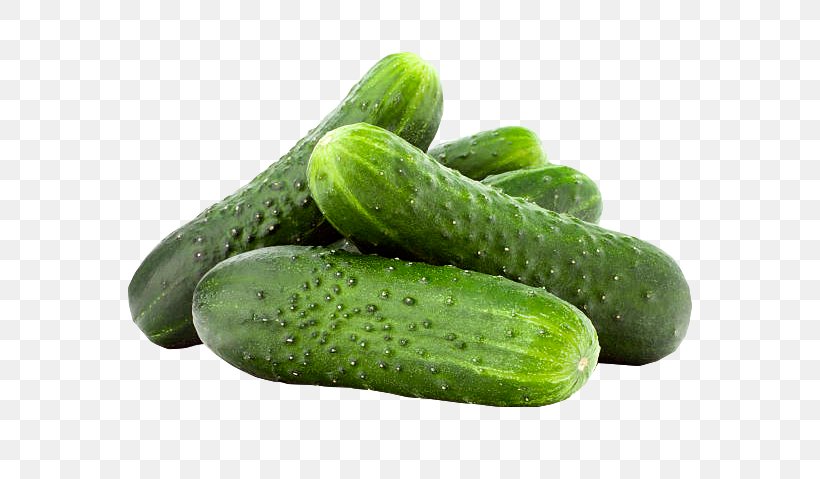 Pickled Cucumber Vegetable Fruit Salad, PNG, 660x479px, Cucumber, Auglis, Capsicum Annuum, Carrot, Cauliflower Download Free
