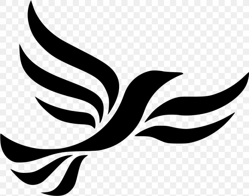 United Kingdom General Election, 2010 Welsh Liberal Democrats Sheffield Hallam Cheadle, PNG, 981x772px, Liberal Democrats, Artwork, Beak, Bird, Black Download Free