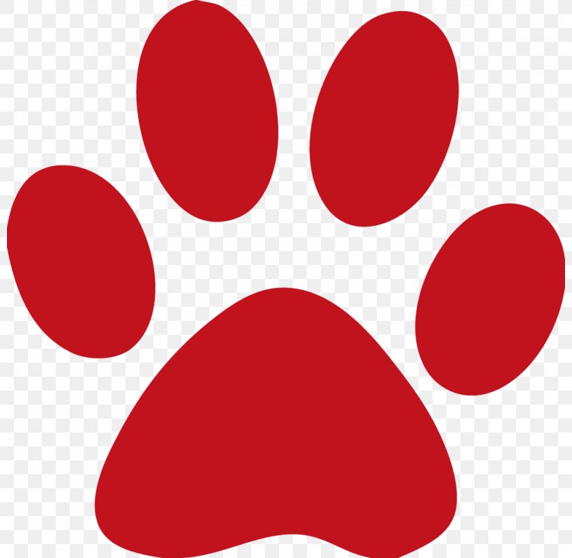 Wildcat Dog Paw Clip Art, PNG, 800x800px, Cat, Blog, Dog, Footprint, Free Content Download Free