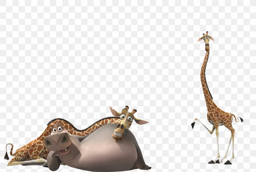 Gloria Melman Madagascar Hippopotamus, PNG, 1795x1205px, Gloria, Animal Figure, Dreamworks, Dreamworks Animation, Fauna Download Free