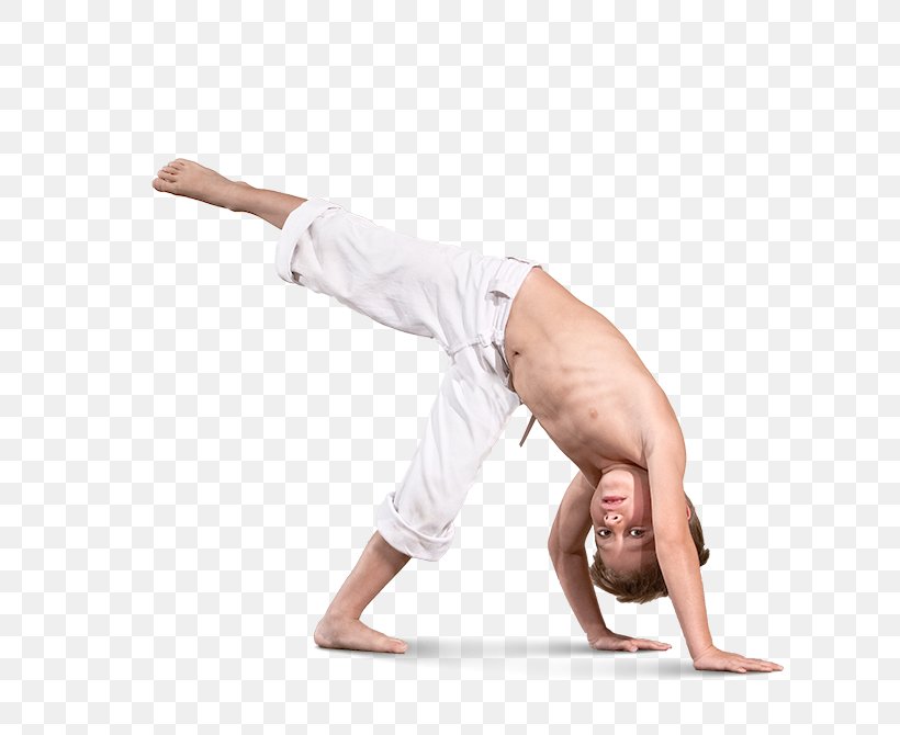 Upper Capoeira Combat Sport Jujutsu, PNG, 636x670px, Watercolor, Cartoon, Flower, Frame, Heart Download Free