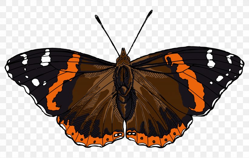 Butterfly Red Admiral Stock Photography Clip Art, PNG, 3300x2100px, Butterfly, Admiral, Arthropod, Brush Footed Butterfly, Butterflies And Moths Download Free