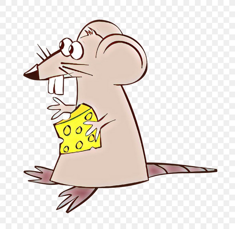 Cartoon Mouse Rat Muridae Clip Art, PNG, 800x800px, Cartoon, Mouse, Muridae, Muroidea, Pest Download Free
