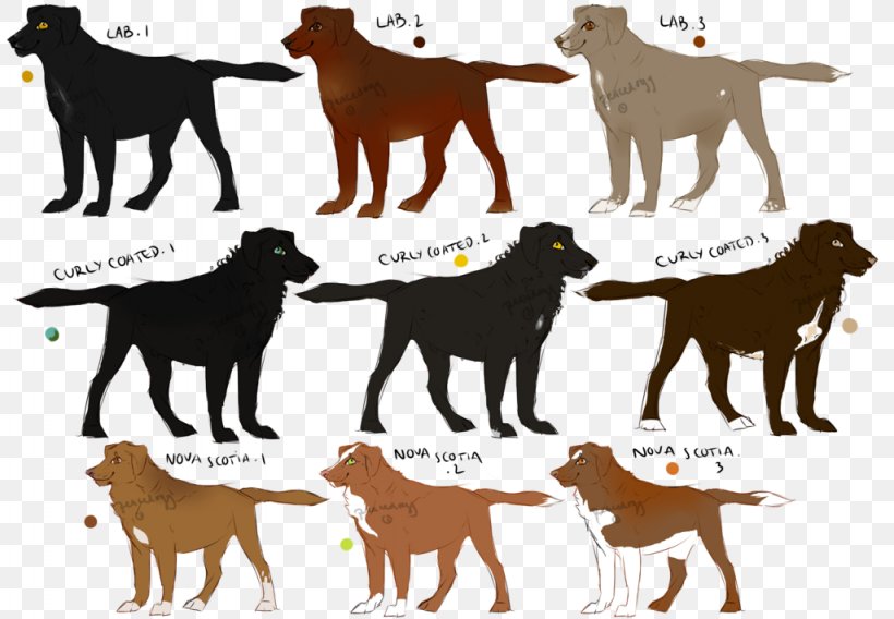 Dog Breed Sporting Group Clip Art, PNG, 1024x710px, Dog Breed, Breed, Carnivoran, Dog, Dog Like Mammal Download Free