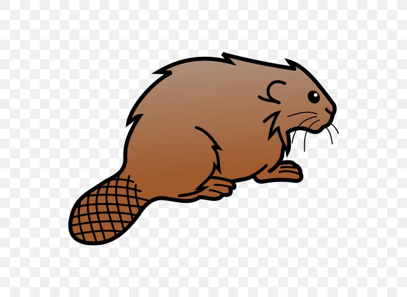 Eurasian Beaver Beaver Dam Inkscape Whiskers Clip Art, PNG, 600x600px, Eurasian Beaver, Animal, Beaver, Beaver Dam, Carnivoran Download Free