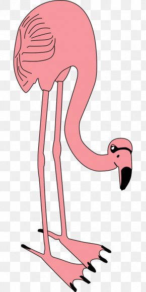 Football Food Flamingos - Flamingo Bird Pink Clip Art PNG