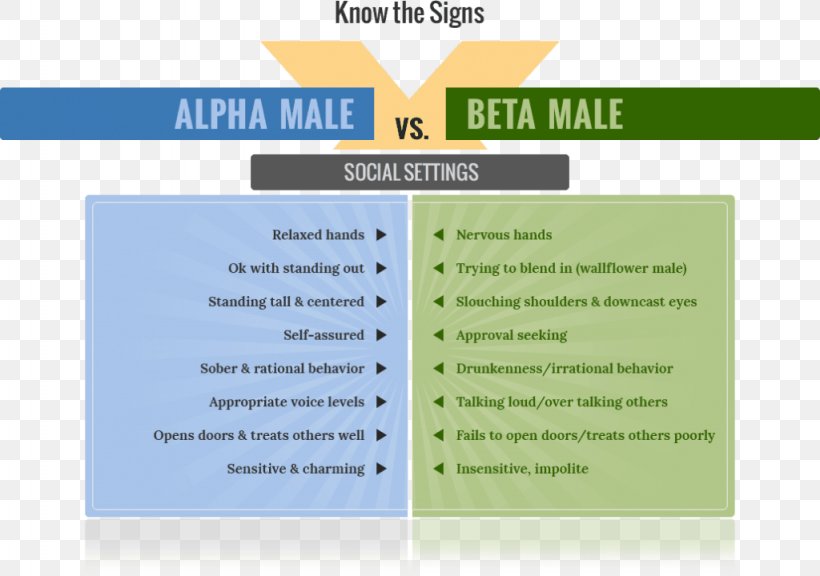 Alpha Beta Male Female Psychology, PNG, 1024x720px, Alpha, Behavior, Beta Male, Brand, Female Download Free