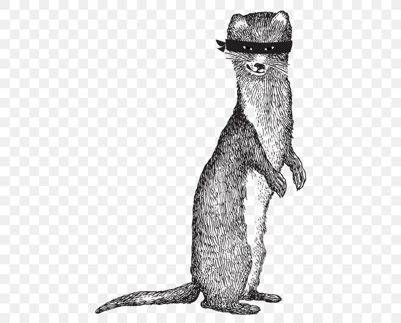 Beer Weasels Whiskers Lager Mammal, PNG, 480x660px, Beer, Beaver, Black And White, Carnivoran, Dog Download Free