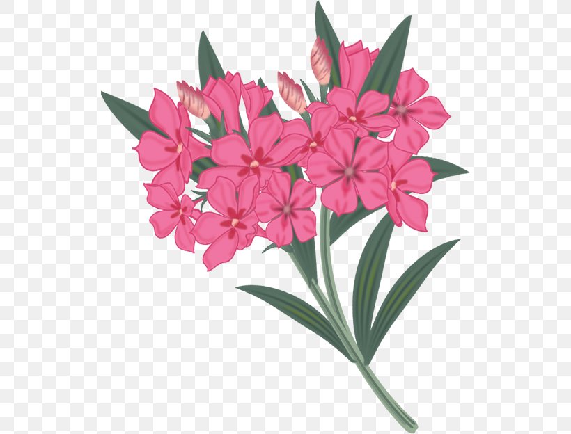 Flower Painting Drawing, PNG, 530x624px, Flower, Art, Blume, Cut Flowers, Drawing Download Free