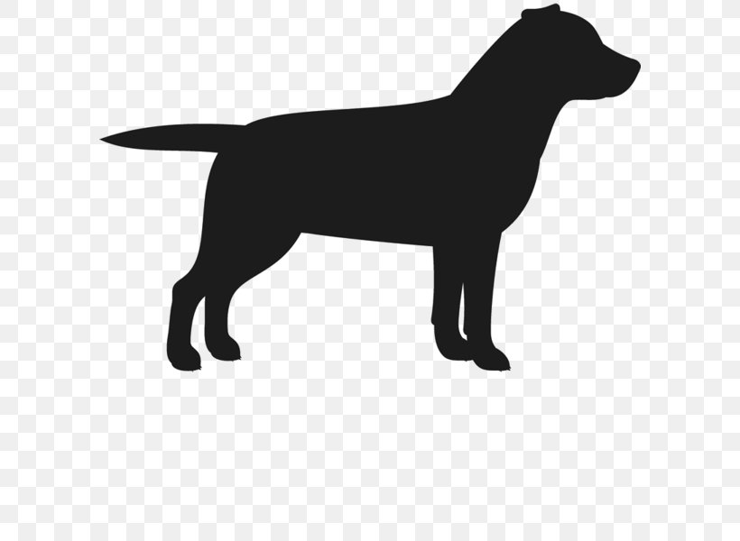 Labrador Retriever Puppy Staffordshire Bull Terrier Dog Breed, PNG, 600x600px, Labrador Retriever, Black, Black And White, Border Terrier, Bull Terrier Download Free