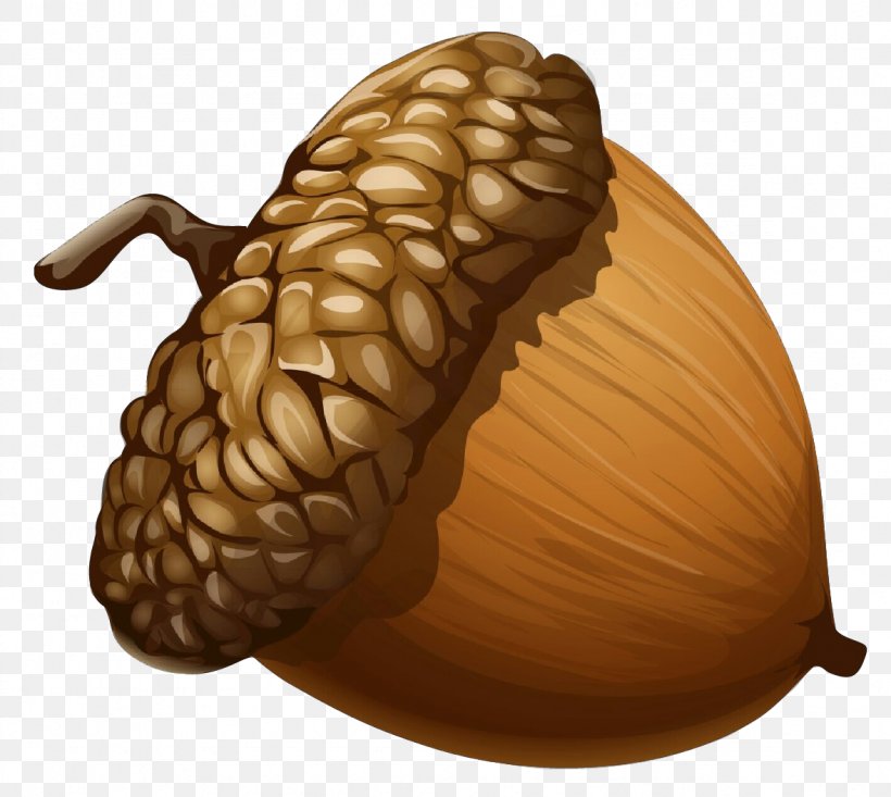 Nut Acorn Tree Food Plant, PNG, 1178x1054px, Cartoon, Acorn, Food, Fruit, Nut Download Free