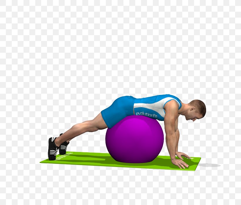 Pilates Exercise Balls Gluteal Muscles Medicine Balls, PNG, 700x700px, Watercolor, Cartoon, Flower, Frame, Heart Download Free