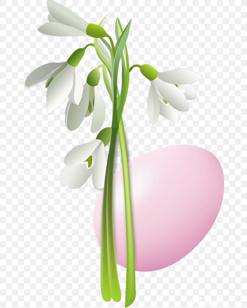 Vector Graphics Flower Clip Art Illustration Drawing, PNG, 670x1022px, Flower, Cut Flowers, Drawing, Floral Design, Flowering Plant Download Free