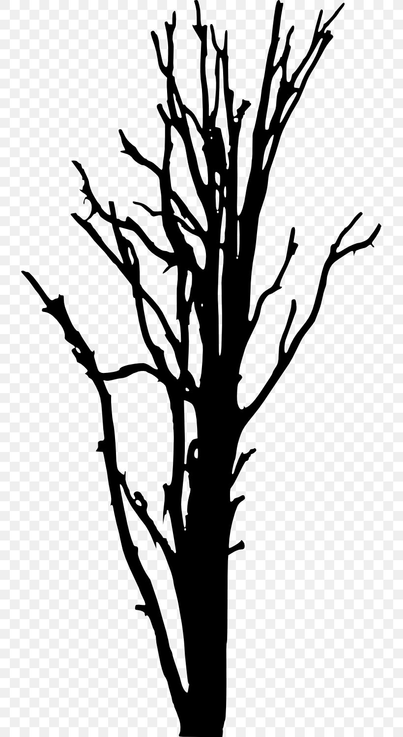 Woody Plant Tree Silhouette Clip Art, PNG, 733x1500px, Woody Plant, Artwork, Black And White, Branch, Flora Download Free