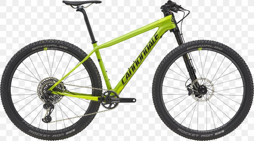 giant bicycles scott sports