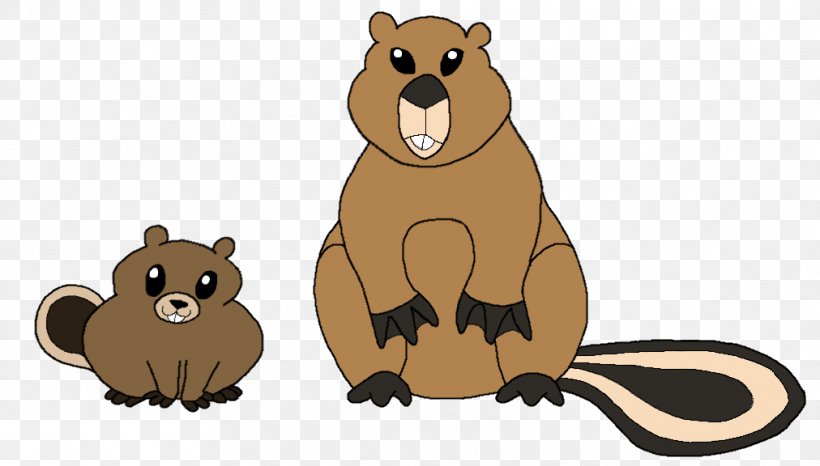 Beaver Bear Cat Procyonidae Mammal, PNG, 1012x576px, Beaver, Animal Figure, Bear, Brown Bear, Cartoon Download Free