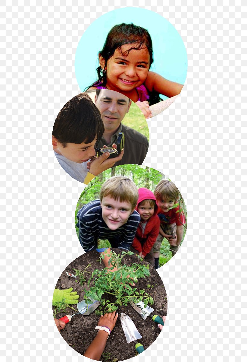 Human Behavior Toddler Homo Sapiens, PNG, 473x1200px, Human Behavior, Behavior, Child, Fun, Grass Download Free