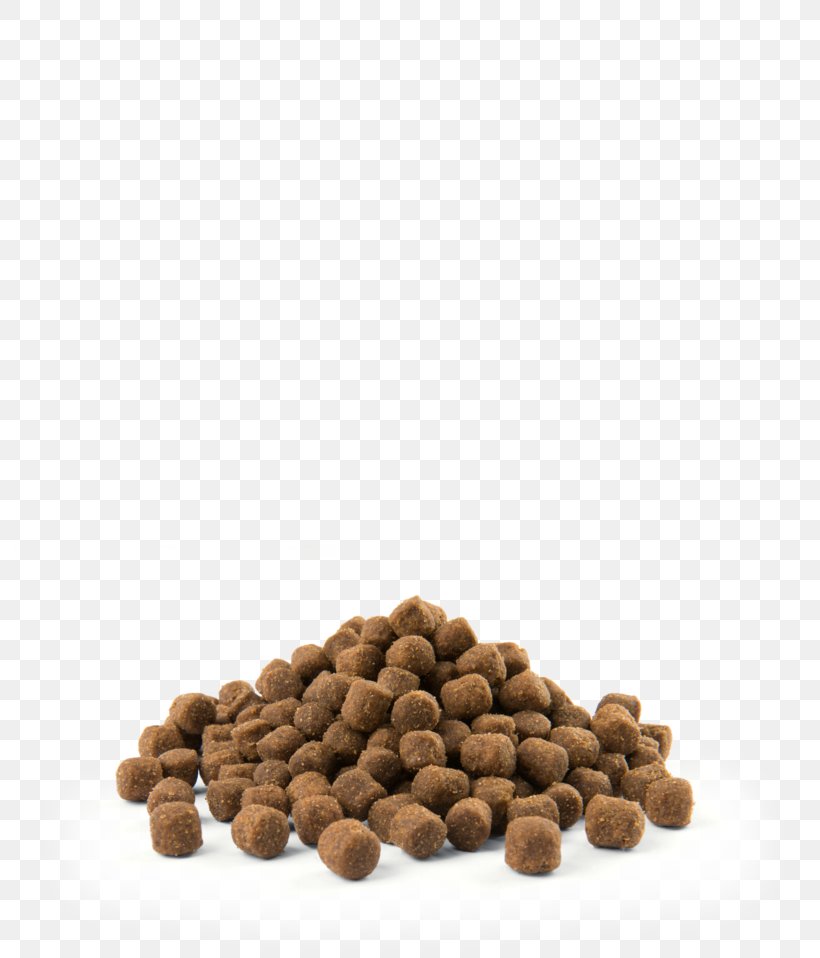 MINI Cooper Dog Food Metabolism, PNG, 800x958px, Mini Cooper, Breed, Chicken As Food, Digestion, Dog Download Free