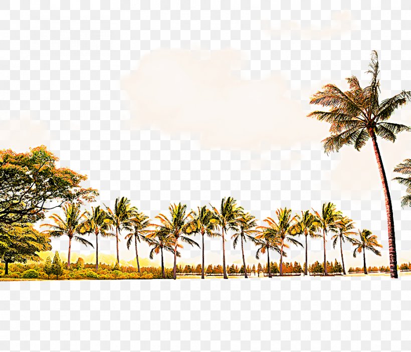 Travel Summer Beach, PNG, 933x800px, Coconut, Arecales, Asian Palmyra Palm, Attalea Speciosa, Beach Download Free