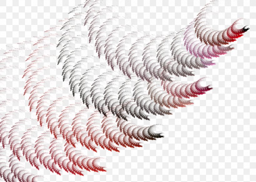 Centerblog Image Photography Fractal, PNG, 980x697px, Centerblog, Blog, Corn, Cut Copy And Paste, Feather Download Free