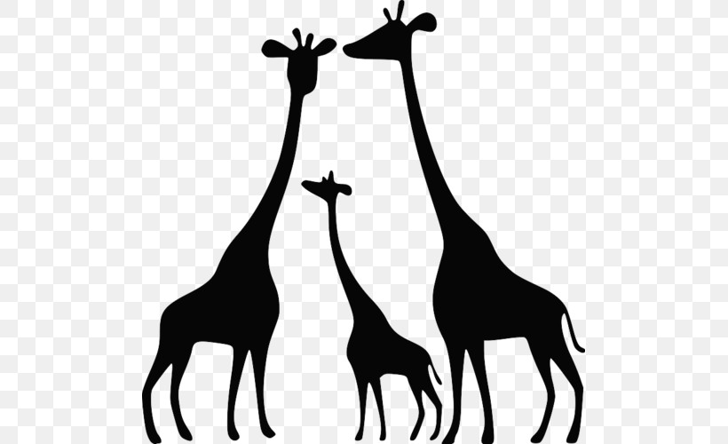 Giraffe Giraffidae Wildlife Black-and-white Adaptation, PNG, 500x500px, Giraffe, Adaptation, Blackandwhite, Giraffidae, Silhouette Download Free