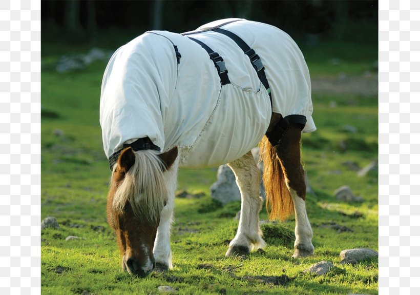 Mane Sweet Itch Pony Blanket Icelandic Horse, PNG, 767x575px, Mane, Blanket, Carpet, Farm, Grass Download Free