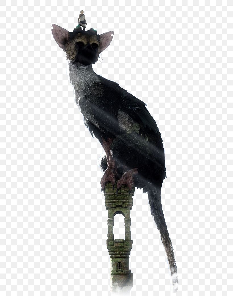 Anden klasse håndflade petulance The Last Guardian Video Game PlayStation 4 PlayStation VR, PNG, 564x1039px, Last  Guardian, Display Resolution, Dog