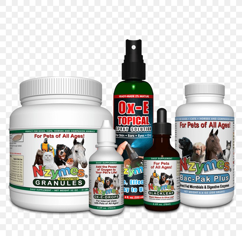 Great Pyrenees Dietary Supplement Australian Cattle Dog Health Pet, PNG, 800x800px, Great Pyrenees, Aging In Dogs, Australian Cattle Dog, Candidiasis, Dandruff Download Free