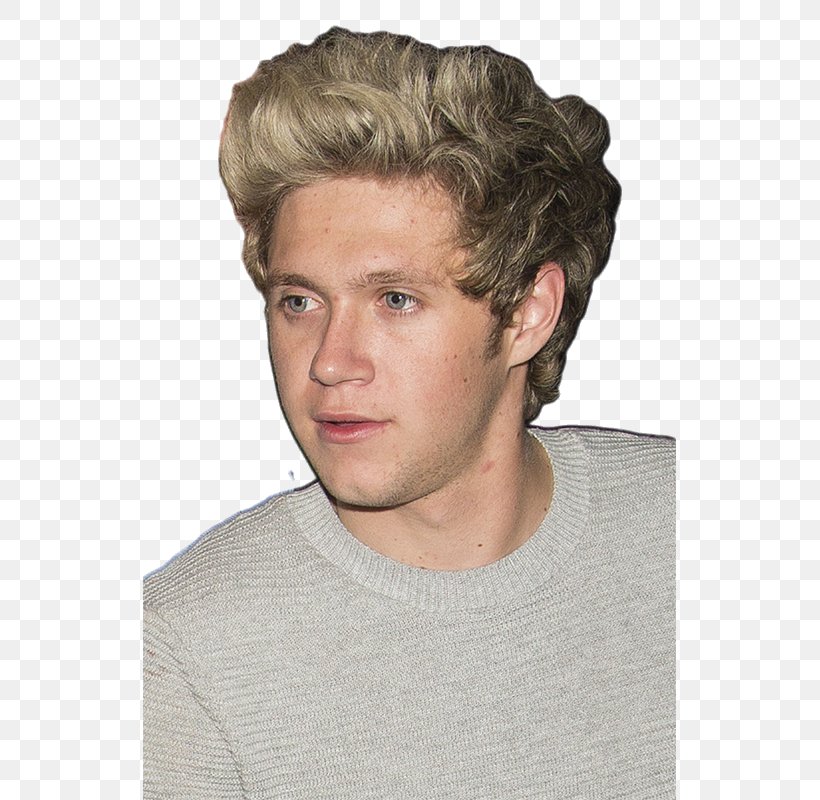 Niall Horan Mullingar One Direction, PNG, 533x800px, Watercolor, Cartoon, Flower, Frame, Heart Download Free