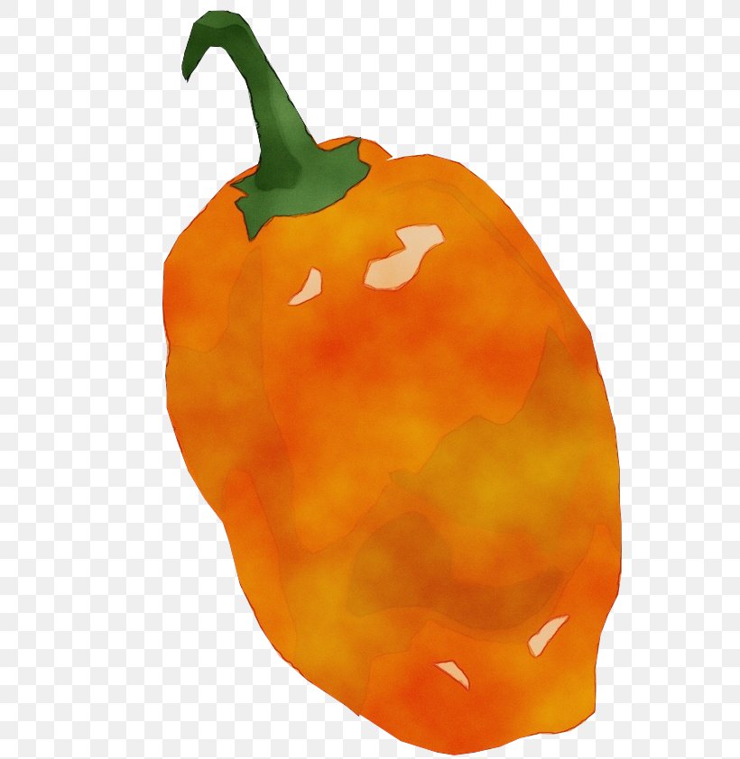 Orange, PNG, 595x842px, Watercolor, Bell Pepper, Bell Peppers And Chili Peppers, Capsicum, Food Download Free