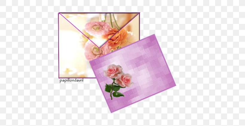 Pink M, PNG, 600x422px, Pink M, Flower, Petal, Pink Download Free