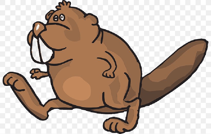 Beaver Cartoon, PNG, 800x521px, Beaver, Animal, Animation, Cartoon, Groundhog Download Free