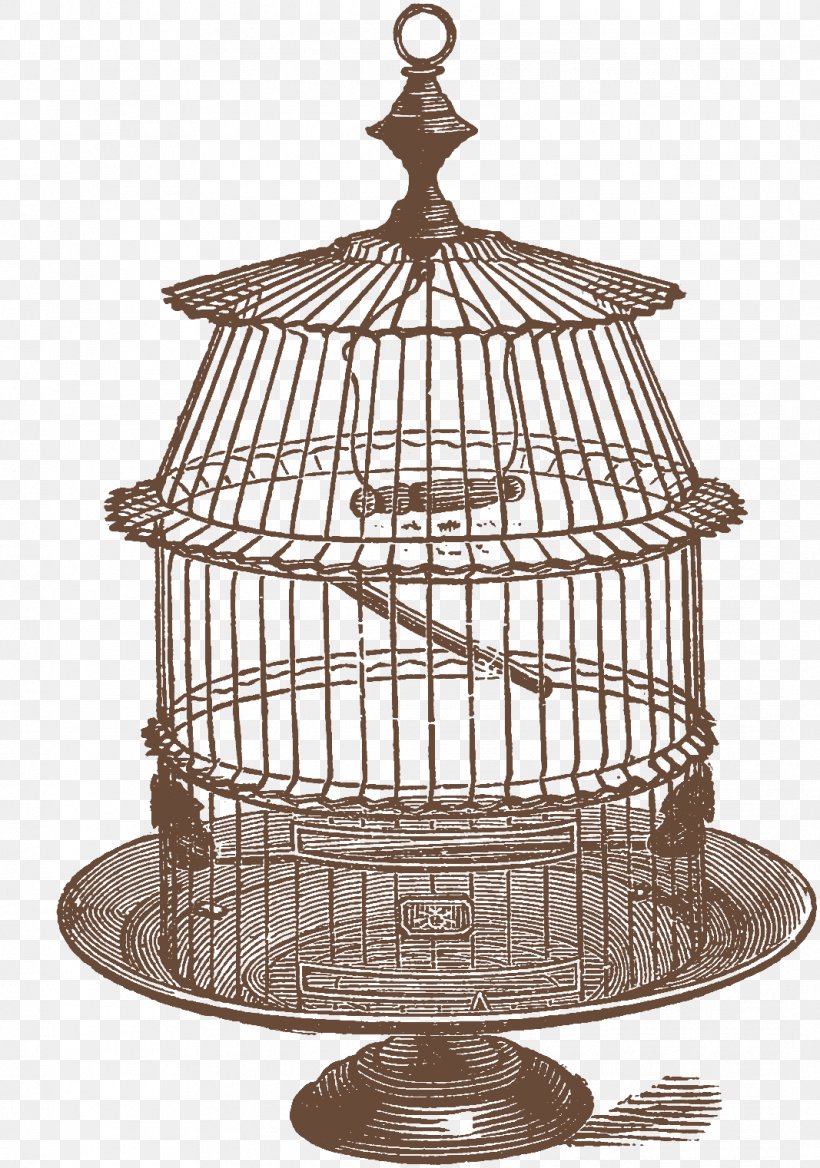 Birdcage Birdcage Clip Art, PNG, 1067x1521px, Bird, Art, Birdcage, Black And White, Cage Download Free