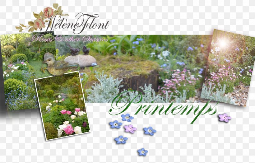 Flower Floral Design Lilac Purple, PNG, 1384x886px, Flower, Ecosystem, Flora, Floral Design, Garden Download Free