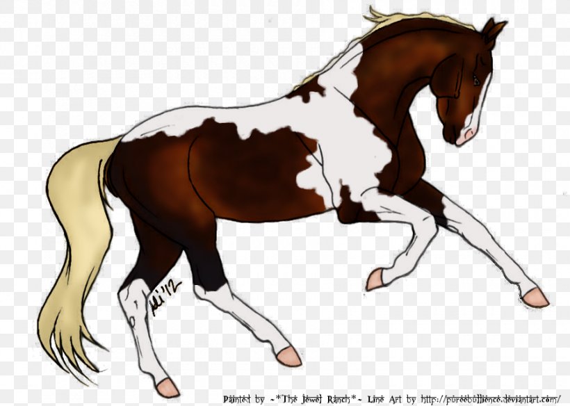 Foal Stallion Mustang Mare Colt, PNG, 900x641px, Foal, Bit, Bridle, Colt, English Riding Download Free