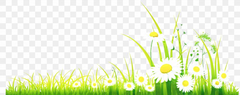 Clip Art Free Content Spring Image, PNG, 3911x1564px, Spring, April Shower, Art, Camomile, Daisy Download Free