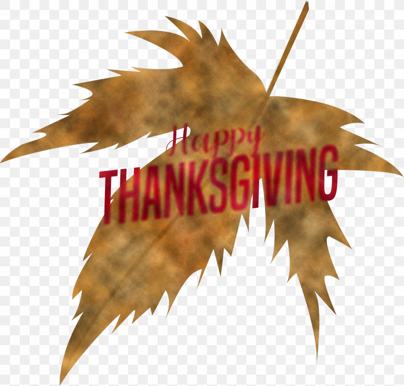 Happy Thanksgiving, PNG, 3000x2867px, Happy Thanksgiving, Biology, Leaf, Maple Leaf M, Meter Download Free