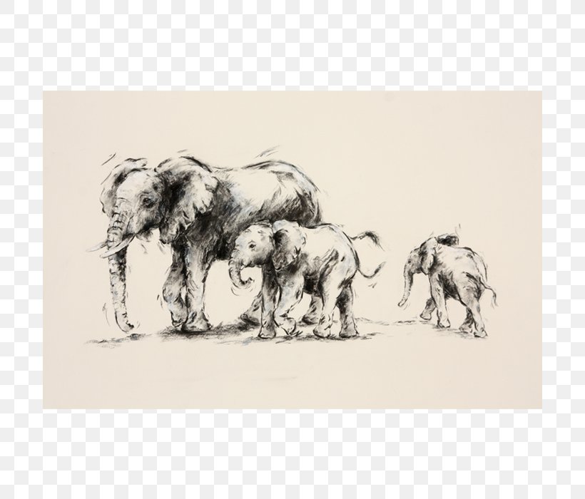 Indian Elephant Printmaking African Elephant Paper Printing, PNG, 700x700px, Indian Elephant, African Elephant, Art, Artist, Black And White Download Free