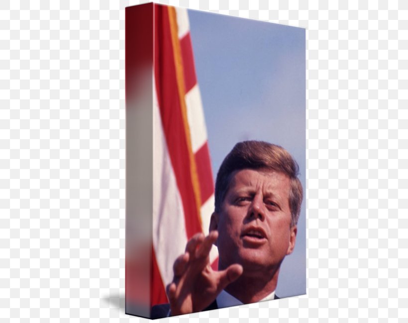 John F. Kennedy Hyannis Canvas Print Printing, PNG, 422x650px, John F Kennedy, Aaron Shikler, Art, Canvas, Canvas Print Download Free