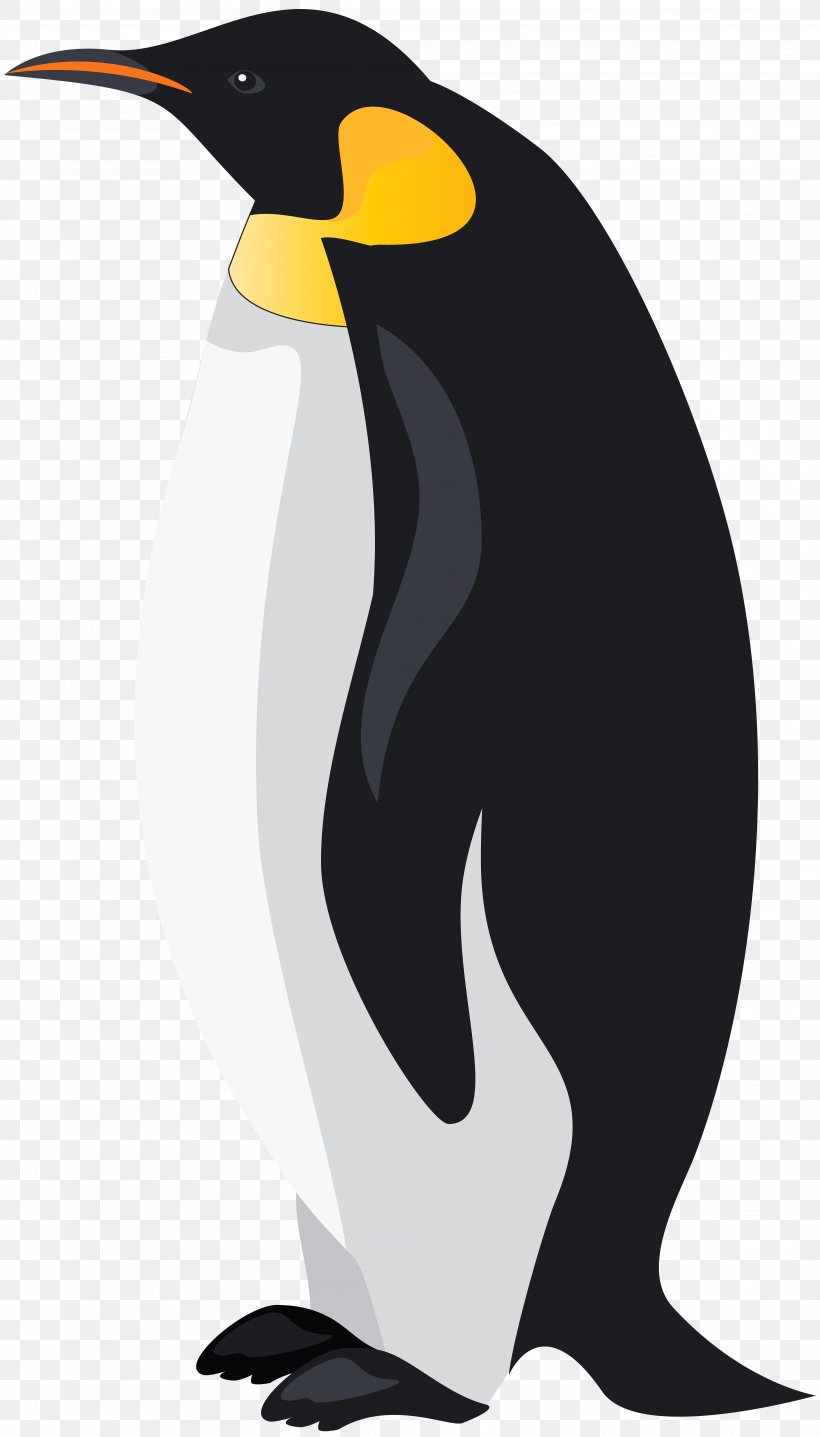 King Penguin Bird Emperor Penguin Clip Art, PNG, 4564x8000px, Penguin, Beak, Bird, Emperor Penguin, Fauna Download Free