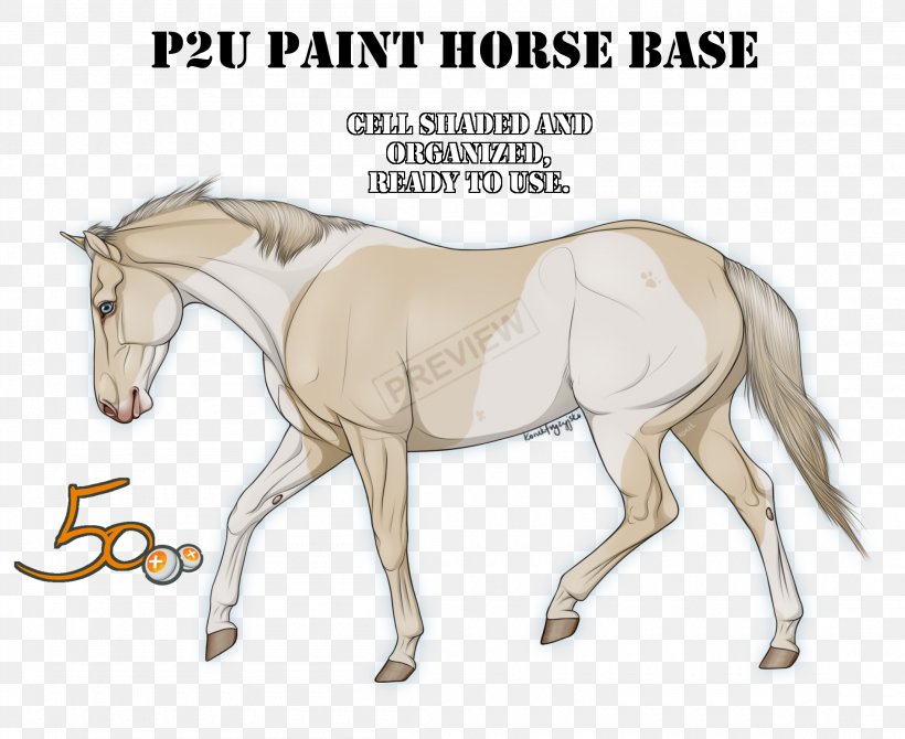 American Paint Horse Mustang Mane Pony Foal, PNG, 2200x1800px, American Paint Horse, Bay, Bridle, Colt, Fauna Download Free