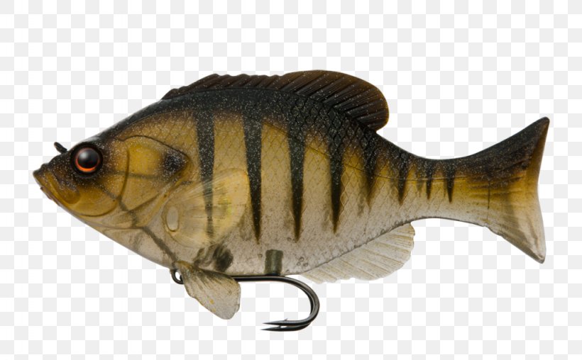 Fishing Baits & Lures Bluegill Angling Micropterus, PNG, 1024x635px, Fishing Baits Lures, Angling, Artificial Fly, Bait, Bass Download Free