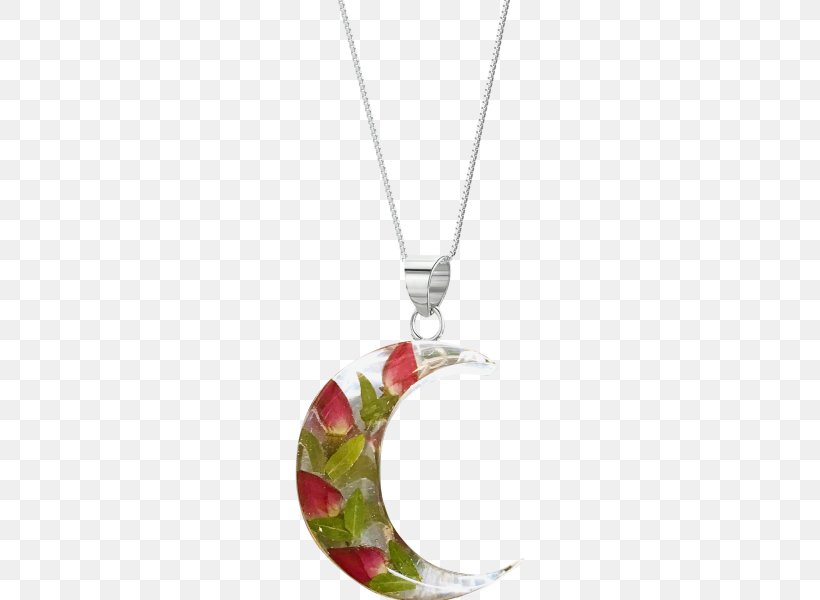 Locket Jewellery Necklace Silver Charms & Pendants, PNG, 600x600px, Locket, Body Jewellery, Body Jewelry, Charms Pendants, Fashion Accessory Download Free