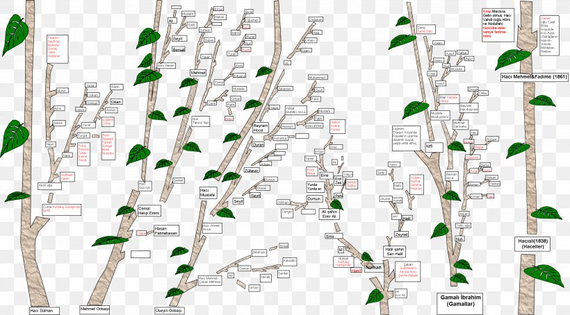 Map Line Tuberculosis Branching, PNG, 2969x1645px, Map, Area, Branch, Branching, Grass Download Free